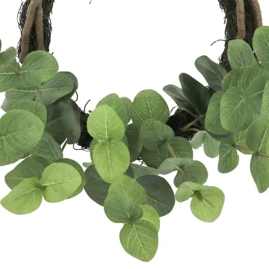12" Mini Eucalyptus Wreath by Ashland&reg; {3}