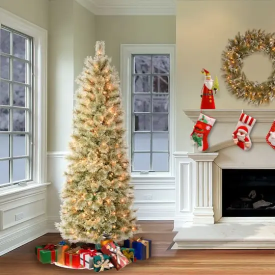 6ft. Pre-Lit Arcadia Cashmere Pine Slim Artificial Christmas Tree, Clear Lights {3}