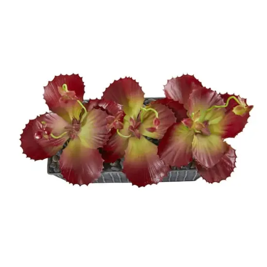 10" Succulent Plant in Embossed Tin Planter {4}