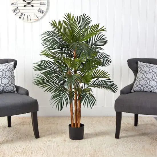 4ft. Potted Date Palm Tree {4}