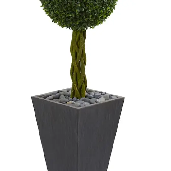 5ft. Double Ball Boxwood Topiary Tree in Slate Planter {4}