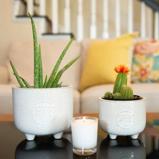 Flora Bunda&reg; Ivory Sunny Ceramic Footed Planter Set {3}