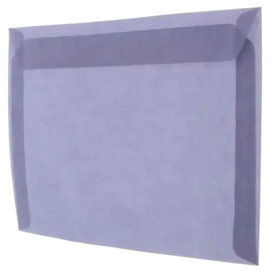 JAM Paper 9" x 12" Booklet Vellum Envelopes, 25ct. Wisteria Purple {4}