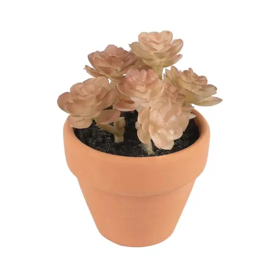 Mini Premade Succulents in Terra Cotta Pots, 6ct. by Ashland&reg; Light Green {6}