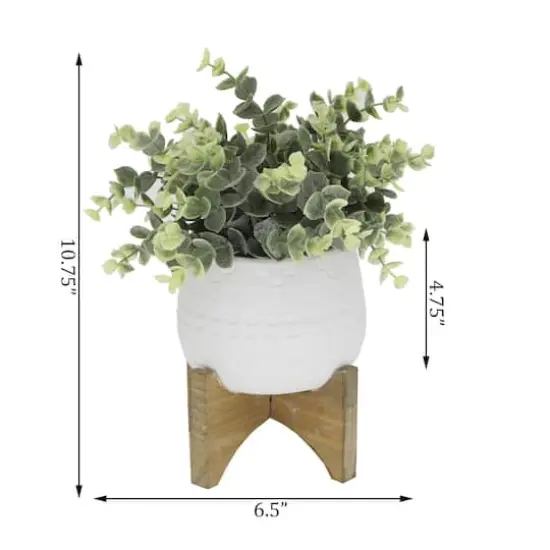 Flora Bunda&reg; 4.7" Eucalyptus in Matte White Mayan Ceramic Pot on Wood Stand {3}