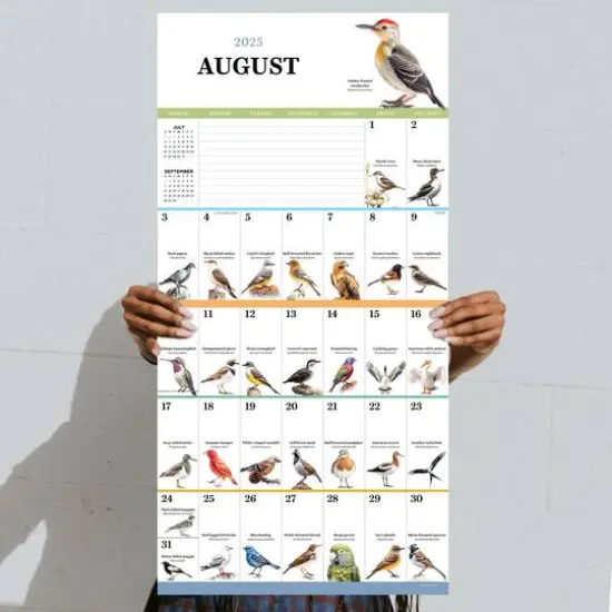 TF Publishing 2025 Birds: Backyard & Beyond Wall Calendar {6}
