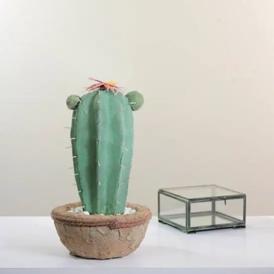 13.75" Southwestern Style Potted Cactus with Flowers {4}