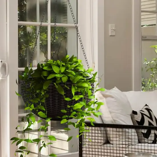 Sorbus 28" Brown Round Hanging Planters, 2ct. {5}