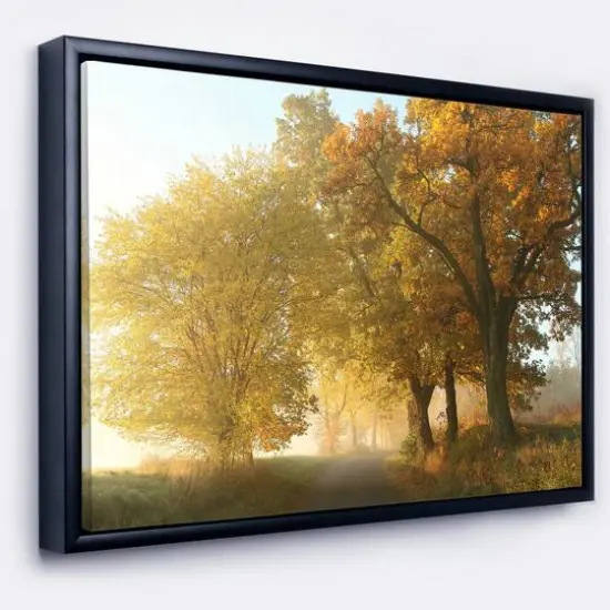 Designart - Rural Road Under Green Trees - Landscape Photography Canvas Print in Black Frame {1}