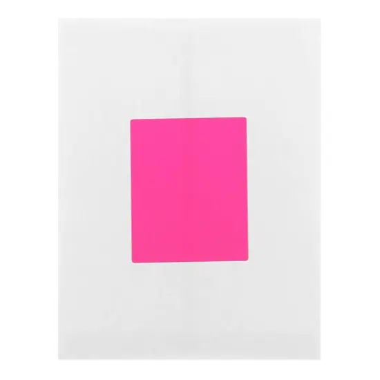 JAM Paper Extra Large Shipping Address Label Stickers Neon Pink {7}