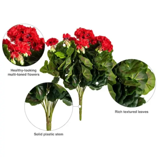 Red Geranium Bush {8}