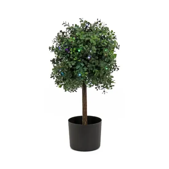 2ft. Boxwood Single Ball Topiary With Multi-Function LED Lights {1}