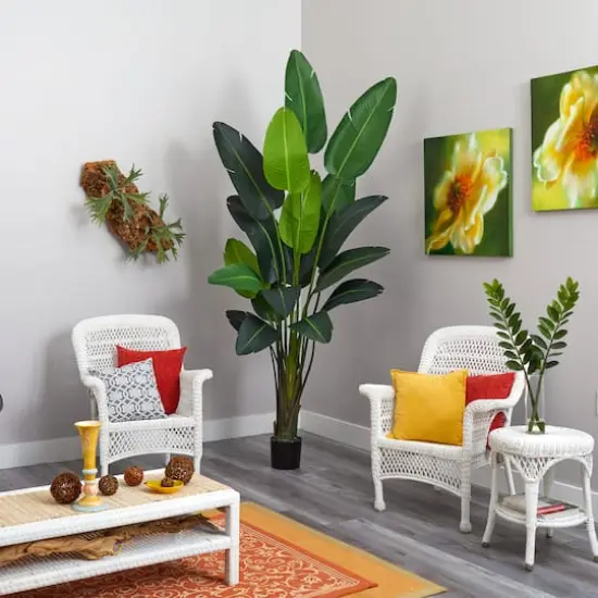 8ft. Potted Travelers Palm Tree {5}