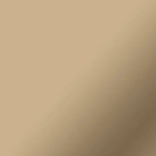 Cricut&reg; 25" Matte Metallic Permanent Smart Vinyl&trade; Champagne {10}