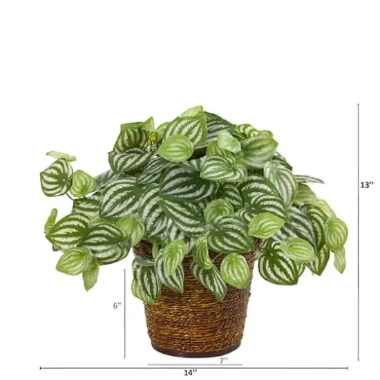 13" Watermelon Peperomia Artificial Plant in Basket {3}