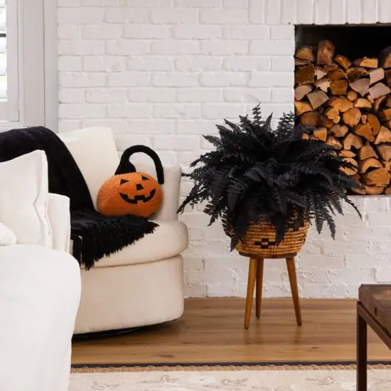 19in. Artificial Halloween Black Boston Fern - Set of 6 {8}