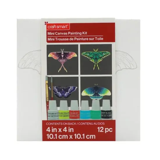 4" x 4" Moths Canvas Painting Kit by Craft Smart&reg; {6}