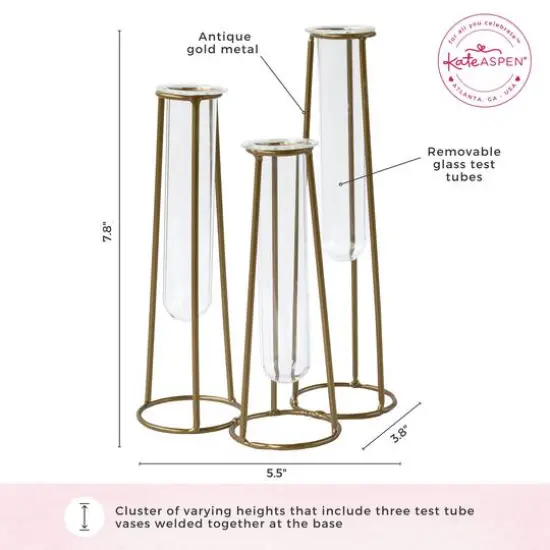Kate Aspen&reg; Test Tube Flower Vase Set {7}