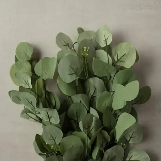 Eucalyptus Bush by Ashland&reg; {4}