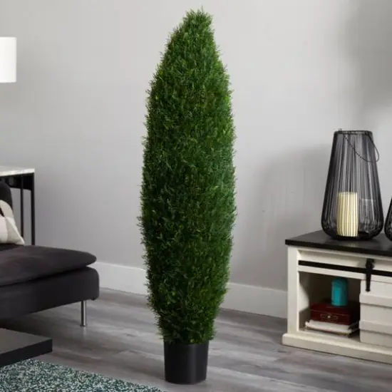 5ft. Potted Cypress Tree {5}