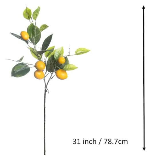 31" Lemon Branch by Ashland&reg; {4}