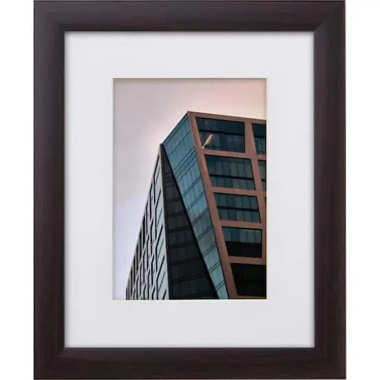 Craig Frames 4 Pack: Contemporary Brazilian Walnut Picture Frame with Mat {8}
