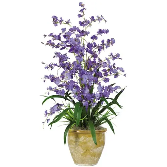 2.5ft. Purple Triple Dancing Lady Orchid Arrangement in Planter {1}