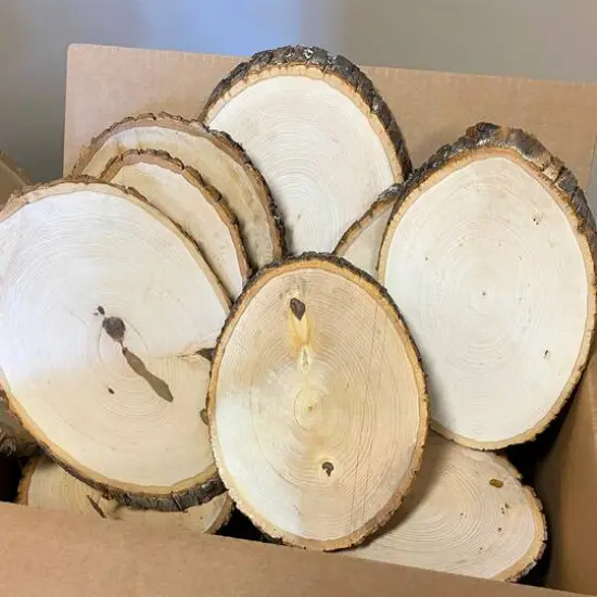 Wilson&reg; Enterprises 10 Pack X-Large Basswood Plaque {3}