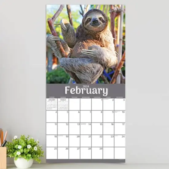 TF Publishing 2024 Sloths Wall Calendar {5}