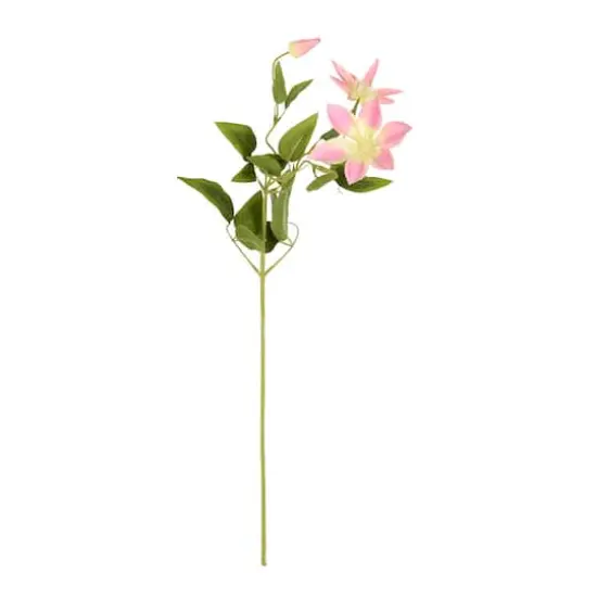 Pink Clematis Stem, 6ct. {1}