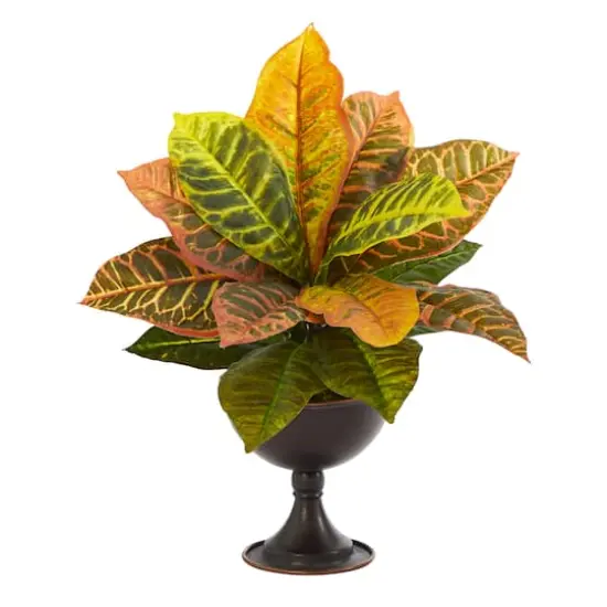 14" Garden Croton Plant in Metal Chalice {1}