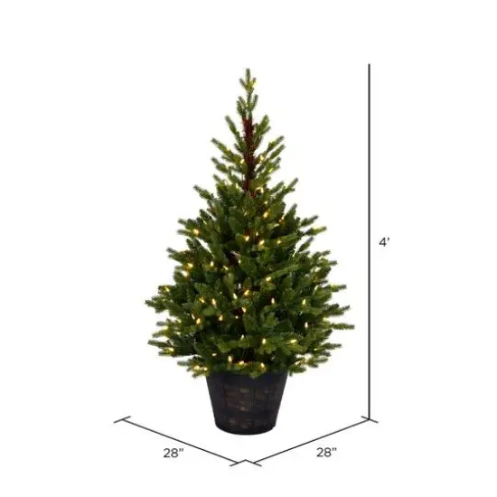 4ft. Pre-Lit Reeder Pine Artificial Christmas Tree, White LED Lights {4}