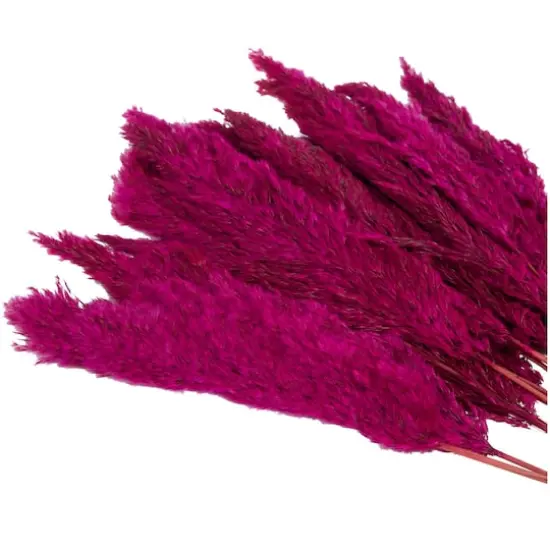 Dried Plant Pampas Natural Foliage with Long Stems Pink {6}