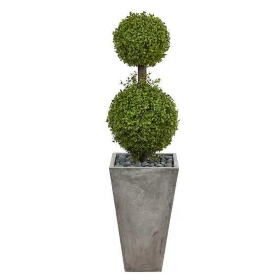4ft. Double Boxwood Topiary Tree in Cement Planter {1}