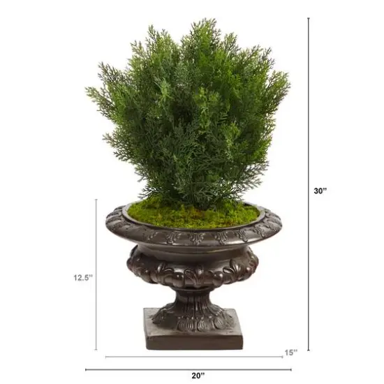 2.5ft. Cedar Tree in Iron Colored Urn {3}