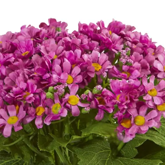 Daisy Artificial Arrangement in Fluted Vase {5}