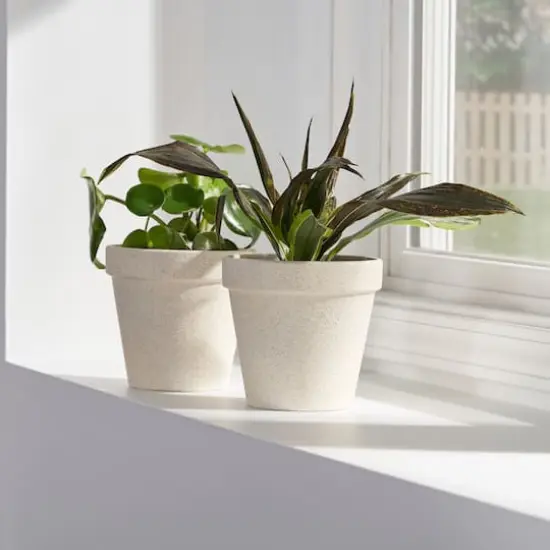 Rust-Oleum&reg; Stone Spray Paint Bleached Stone {6}