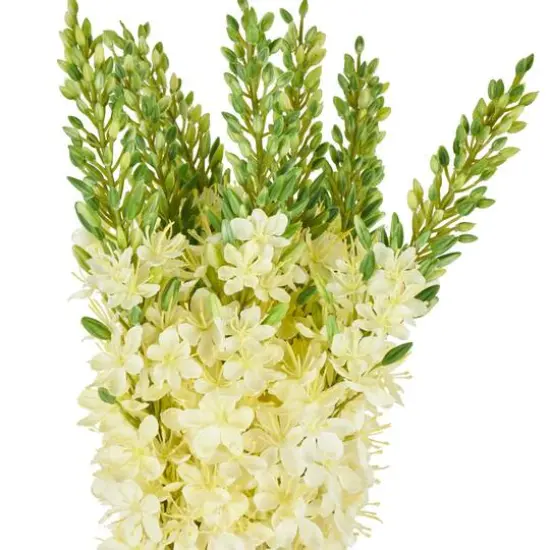34" White Eremurus Artificial Flower Stem, 8ct. {6}
