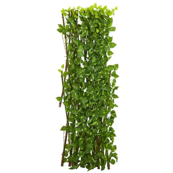4ft. Pothos Expandable Fence {4}