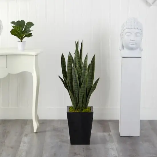 3ft. Snake Plant in Black Metal Planter {4}