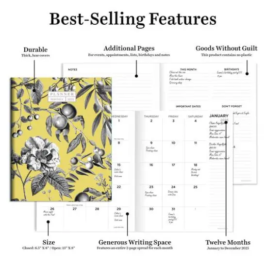 TF Publishing 2025 Beyond the Pale Yellow Medium Monthly Planner {6}