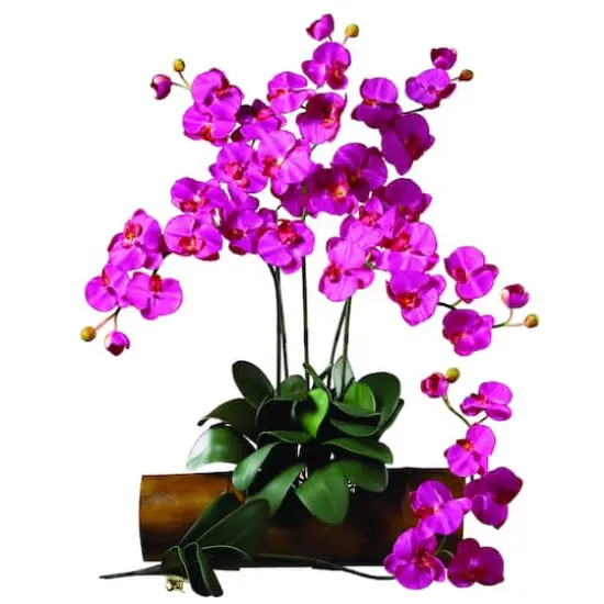 Pink Moth Orchid Stem, 6ct. {3}