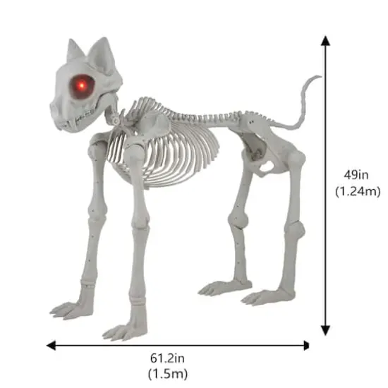 5ft. Oversized Posable Cat Skeleton by Ashland&reg; {6}