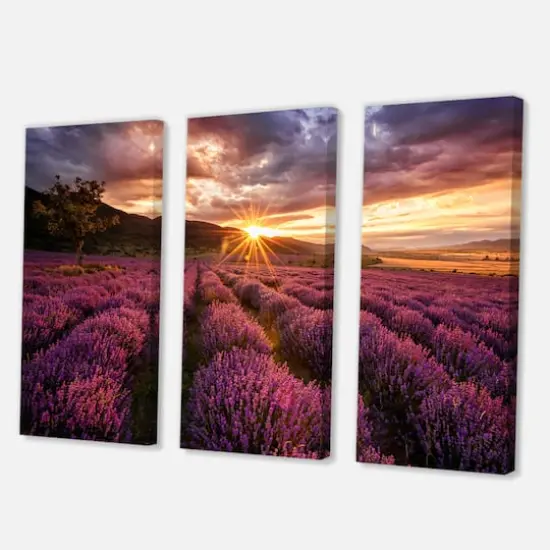 Designart - Sunrise & Dramatic Clouds Over Lavender Field IV - Farmhouse Canvas Wall Art Print {1}