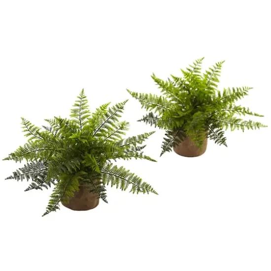 15" Ruffle Fern Bush with Burlap Base, 2ct. {1}