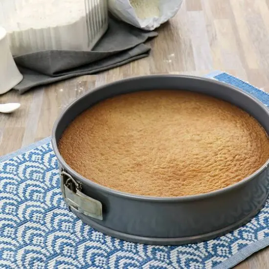 Martha Stewart 10" Carbon Steel Springform Pan {6}