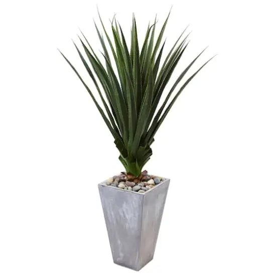 5ft. Spiked Agave Plant in Cement Planter {1}
