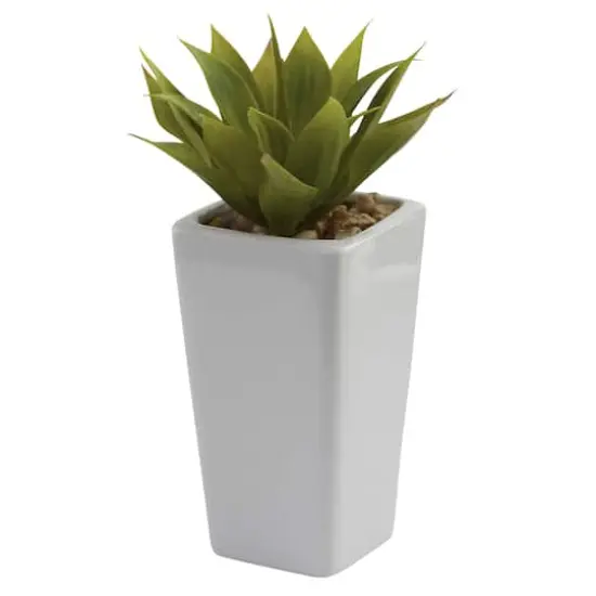 9" Mini Agave Arrangement in White Planter, 3ct. {3}