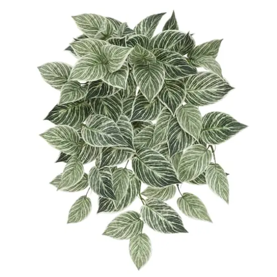 23" Philodendron Birkin Hanging Bush by Ashland&reg; {1}