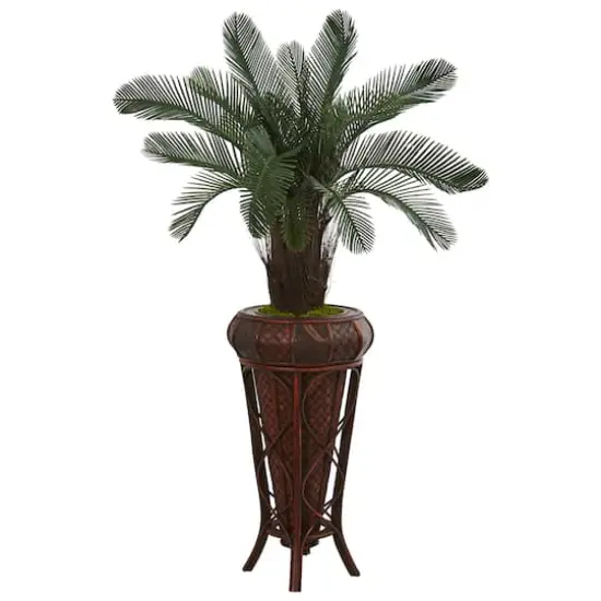 4ft. Cycas Tree in Decorative Stand {1}